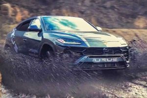 urus balboni