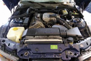 BMW-LPG-Europegas-(1)