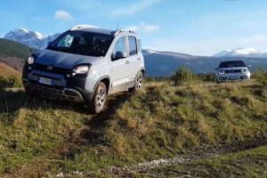 fiat panda suzuki ignis