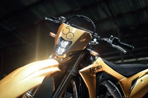 golden honda8