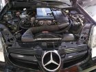 Europegas-LPG-Mercedes-(1)