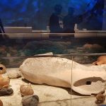 National-Archaeoll-Museum-(6)