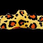 brembo polyxrwmes dagkanes4