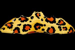 brembo polyxrwmes dagkanes4