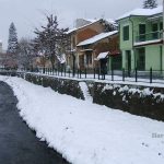 florina-4