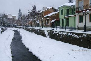 florina-4