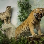 goulandri-museum-(1)