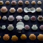 goulandri-museum-(10)