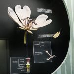 goulandri-museum-(6)