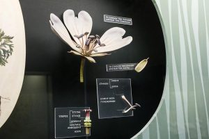 goulandri-museum-(6)