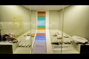 goulandri-museum-(7)