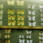 goulandri-museum-(8)