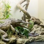 goulandri-museum-(9)