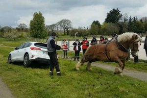 alogo travaei amaksi2