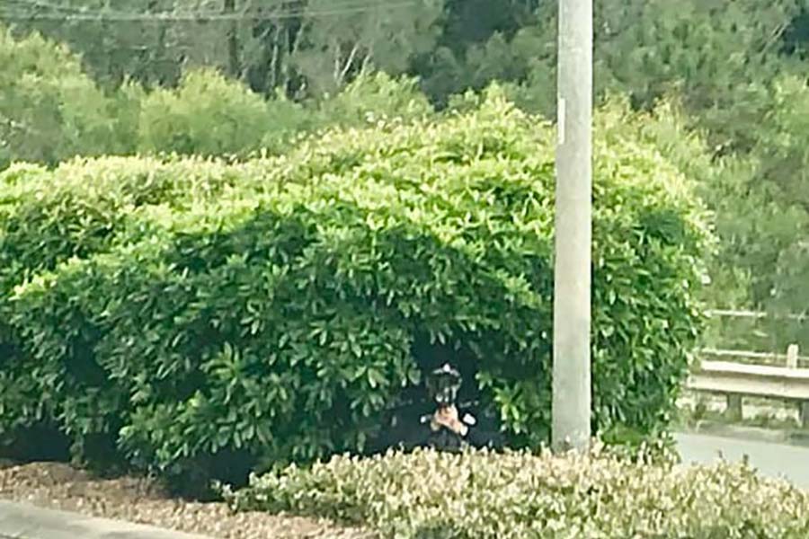 https://autogreeknews.gr/wp-content/uploads/2019/05/Cop_bushes_caught_1.jpg
