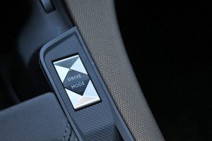 DS7 Crossback 1.5 BlueHDI 130 (25)