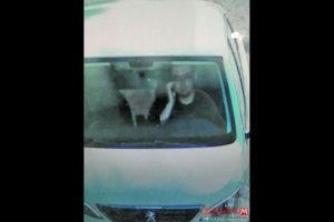 driver-gets-ticket-for-scratching-his-face-134826_1