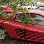 ferrari-abandoned-(1)