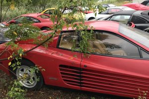 ferrari-abandoned-(1)