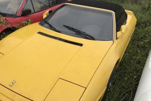 ferrari-abandoned-(10)