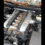 ferrari-abandoned-(12)