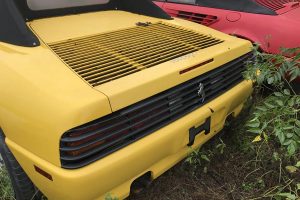 ferrari-abandoned-(13)