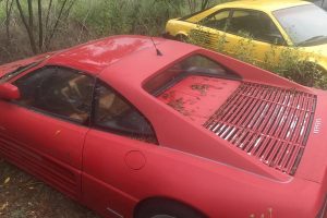 ferrari-abandoned-(16)