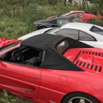 ferrari-abandoned-(5)