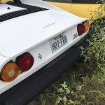 ferrari-abandoned-(6)