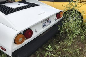 ferrari-abandoned-(6)