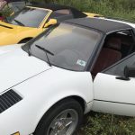 ferrari-abandoned-(7)