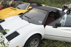 ferrari-abandoned-(7)