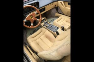 ferrari-abandoned-(8)