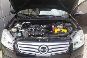 Nissan-LPG-Europegas-(1)