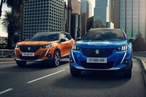 Peugeot 2008 – 2019 (11)