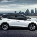 Peugeot 2008 - 2019 (5)