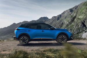 Peugeot 2008 – 2019 (9)