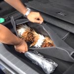 Toyota-Century-interior-2