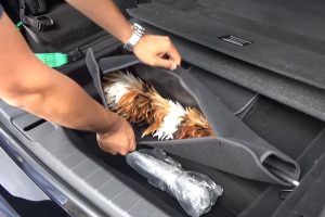 Toyota-Century-interior-2