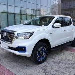 Nissan-Dongfeng-Rich-6-EV-(3)