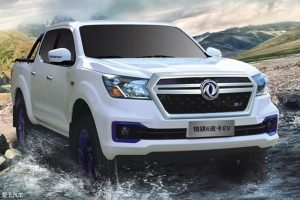 Nissan-Dongfeng-Rich-6-EV-(4)