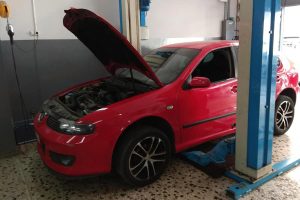 kokkalis-service-(10)