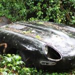 Abandoned_Jaguar_E_Type_1