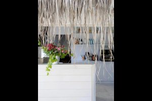 Kymothoi-Rooms-andros-(6)