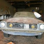 ford mustang staxtes