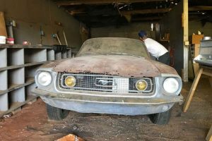 ford mustang staxtes