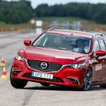 test apofygis tarandou2