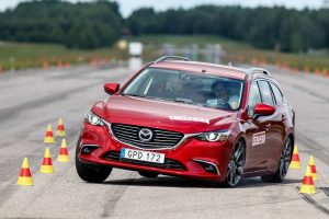 test apofygis tarandou2