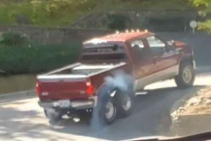 ktinos kollaei se anifora