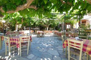 taverna-to-steki-tou-andrea-andros-(1)